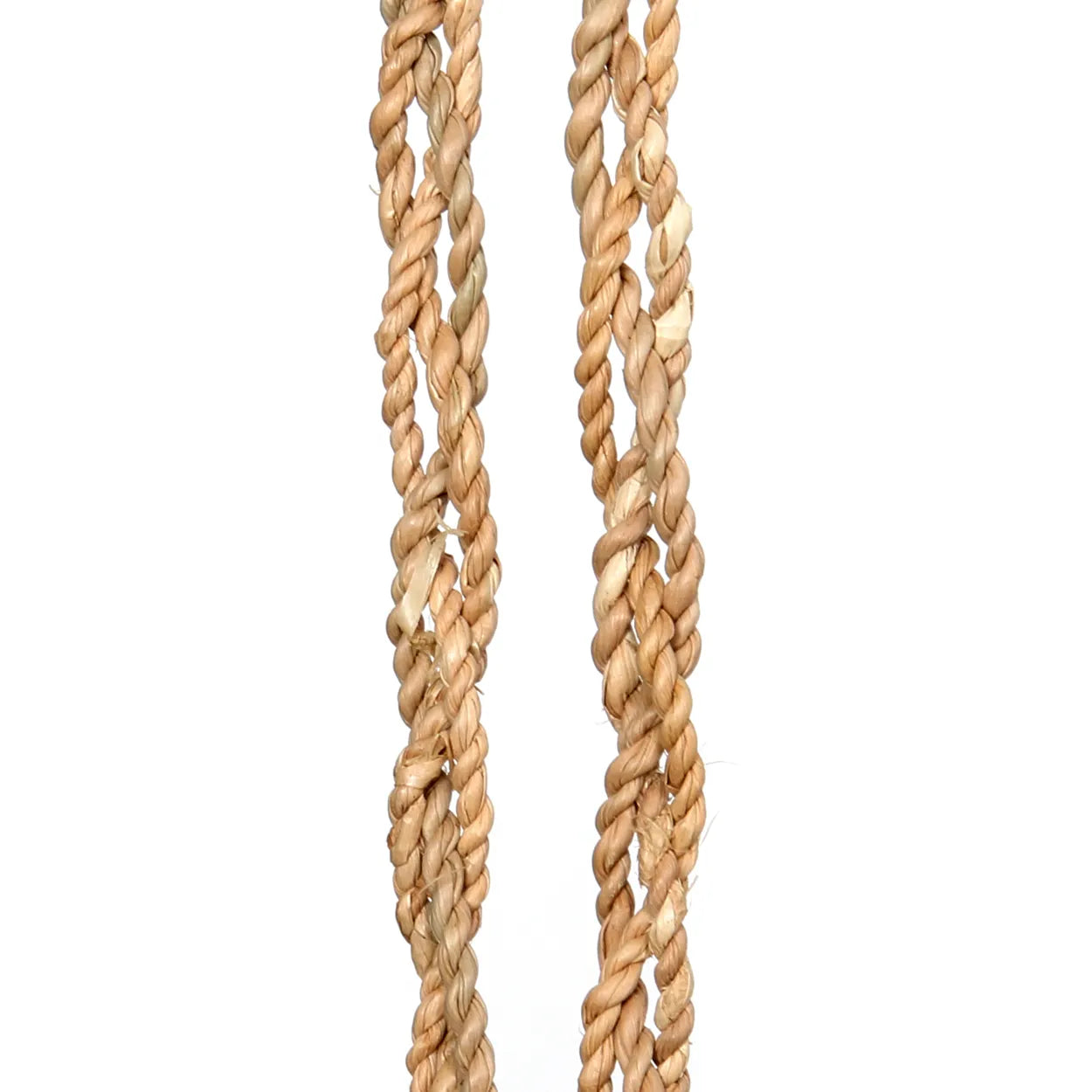 Le pinceau à coque de vanille 2 pièces