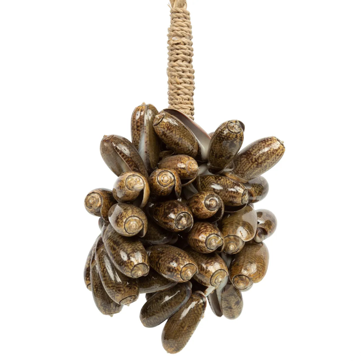 Le pompon en coquillage cauri marron 2 pièces