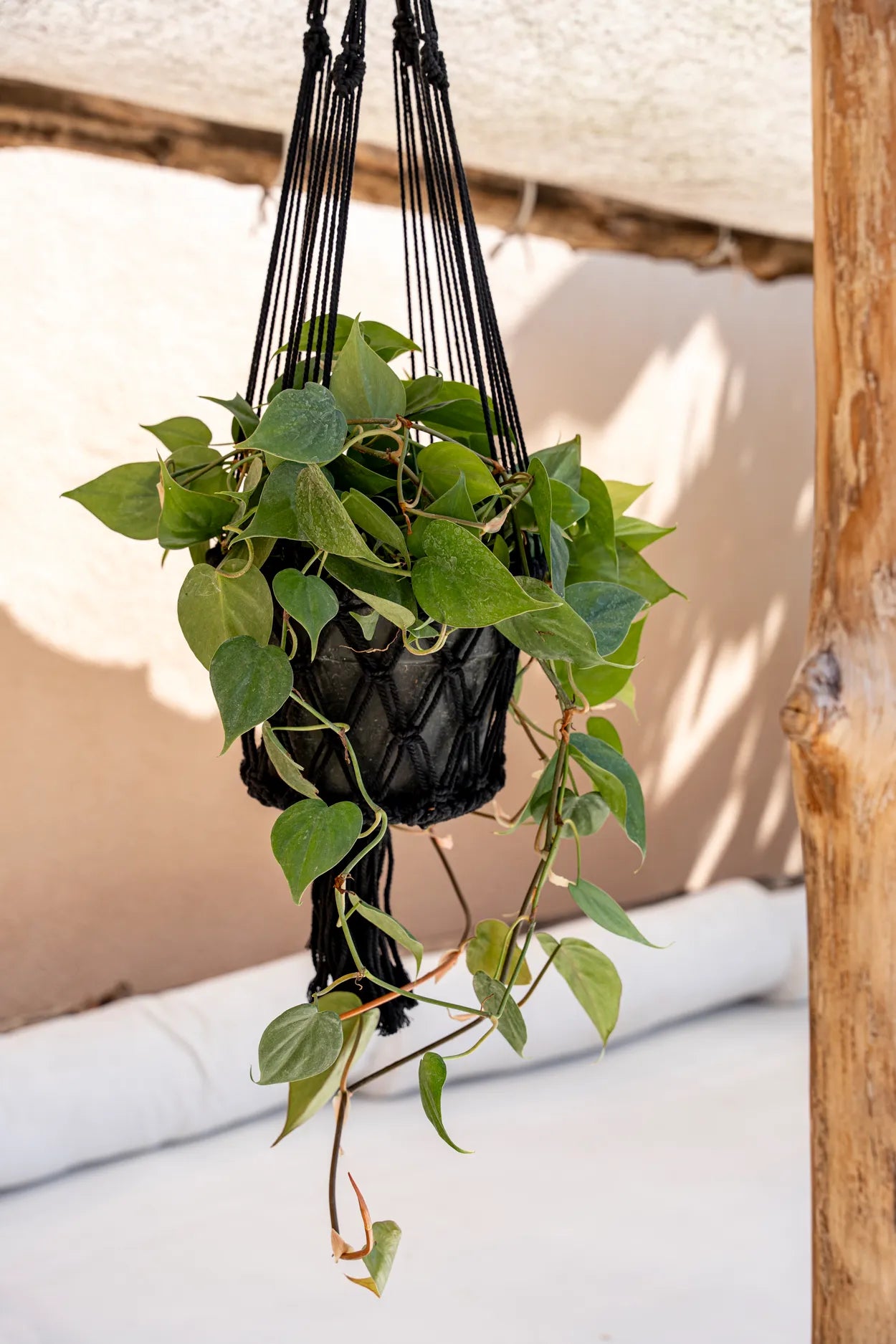The Macramé Plant Hanger - Black - L_40