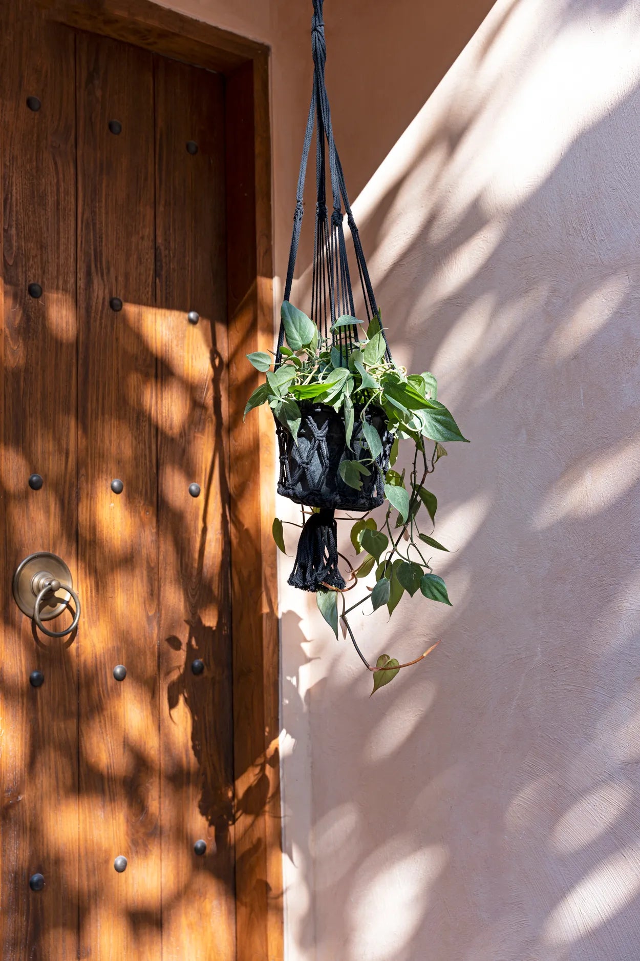 The Macramé Plant Hanger - Black - L_40