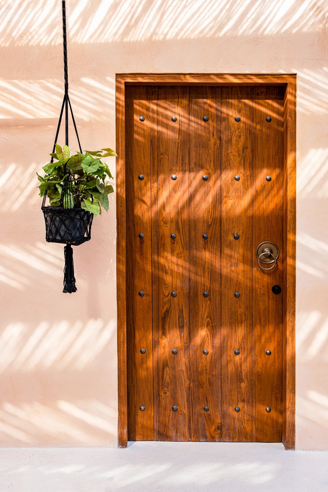 Suspension pour plantes en macramé - Noir - M_40
