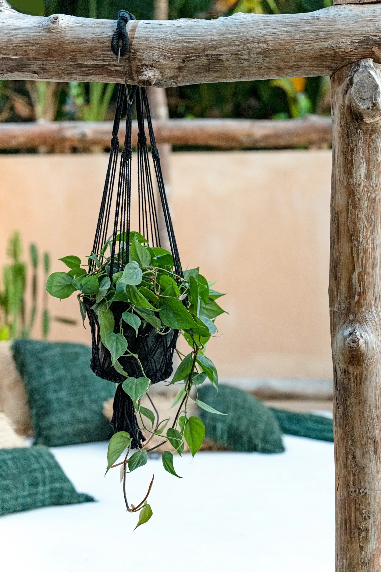 The Macramé Plant Hanger - Black - S_40