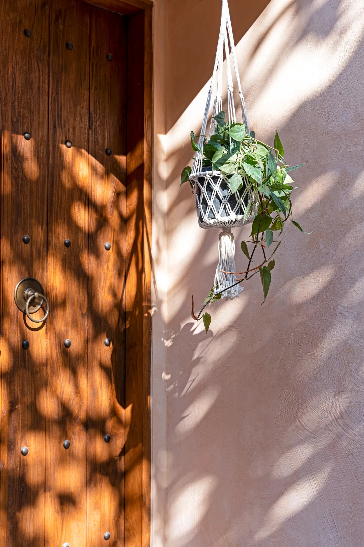 The Macramé Plant Hanger - White - M_40