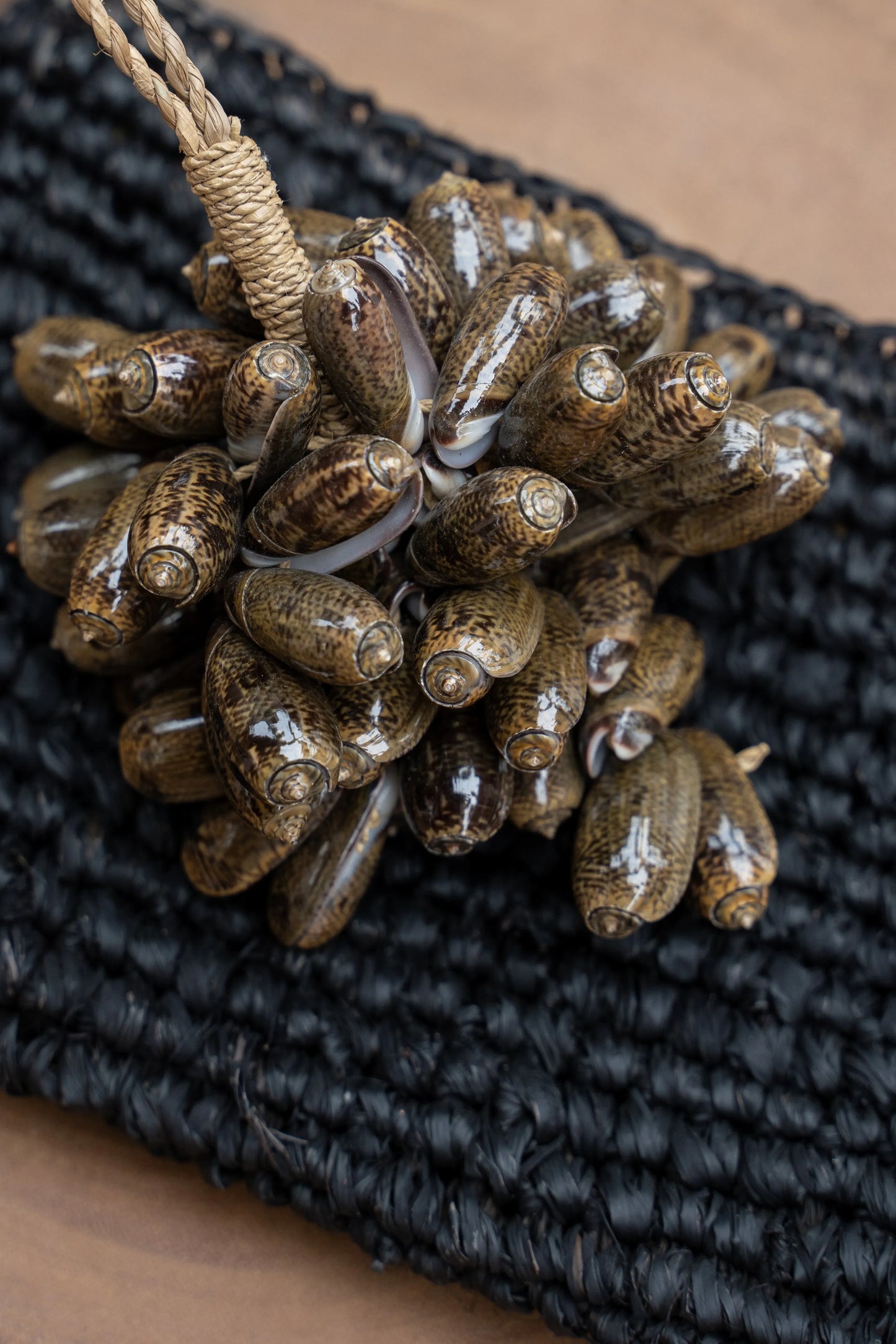 Le pompon en coquillage cauri marron 2 pièces