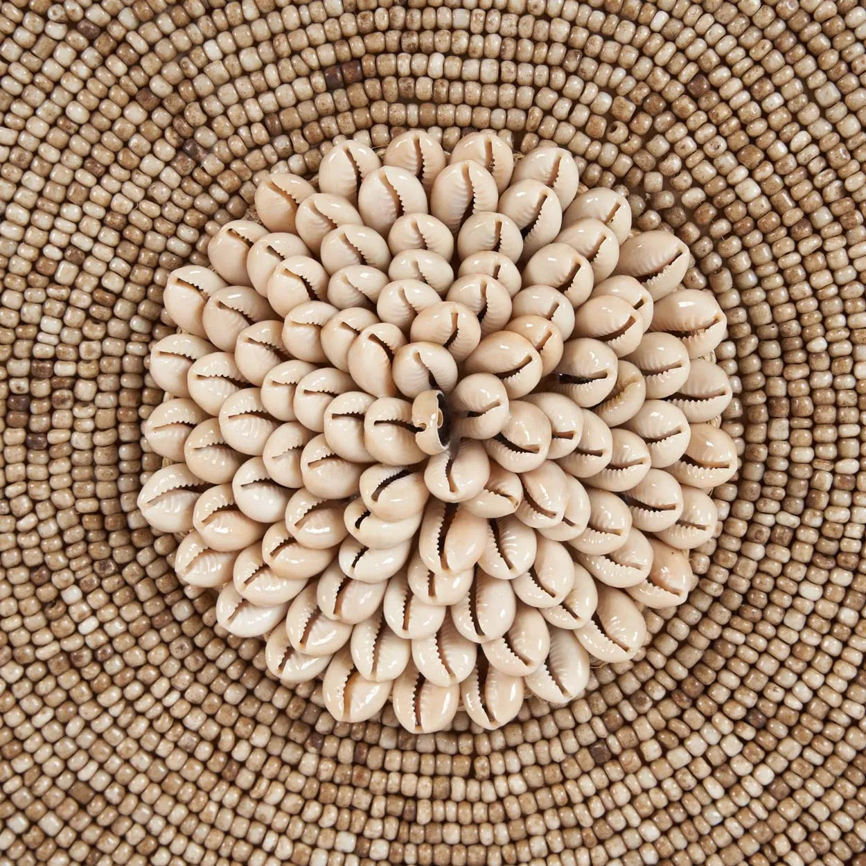 The Shell Guadeloupe on Stand - Natural White