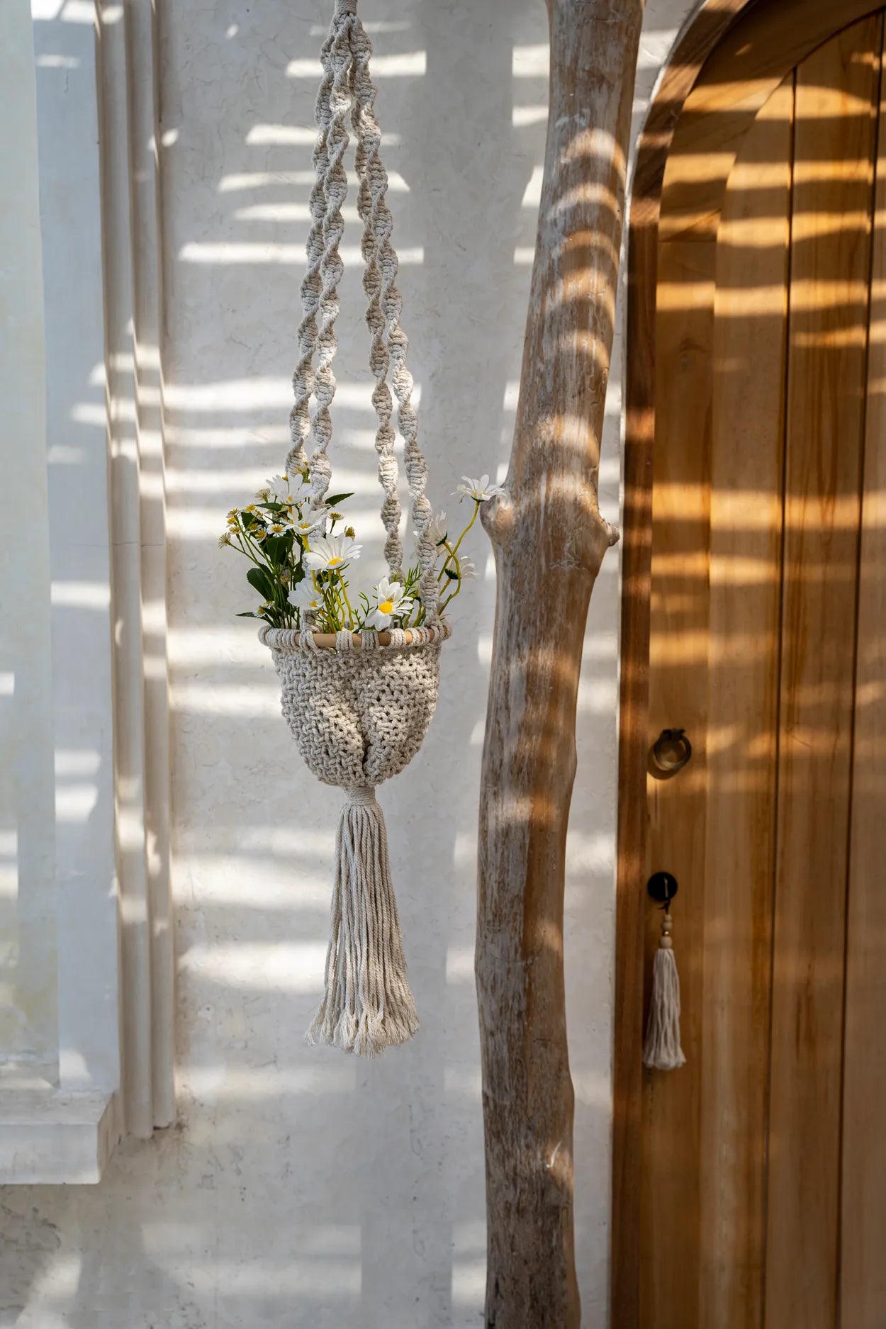 The Twisted Macramé Plant Hanger - Natural White - M