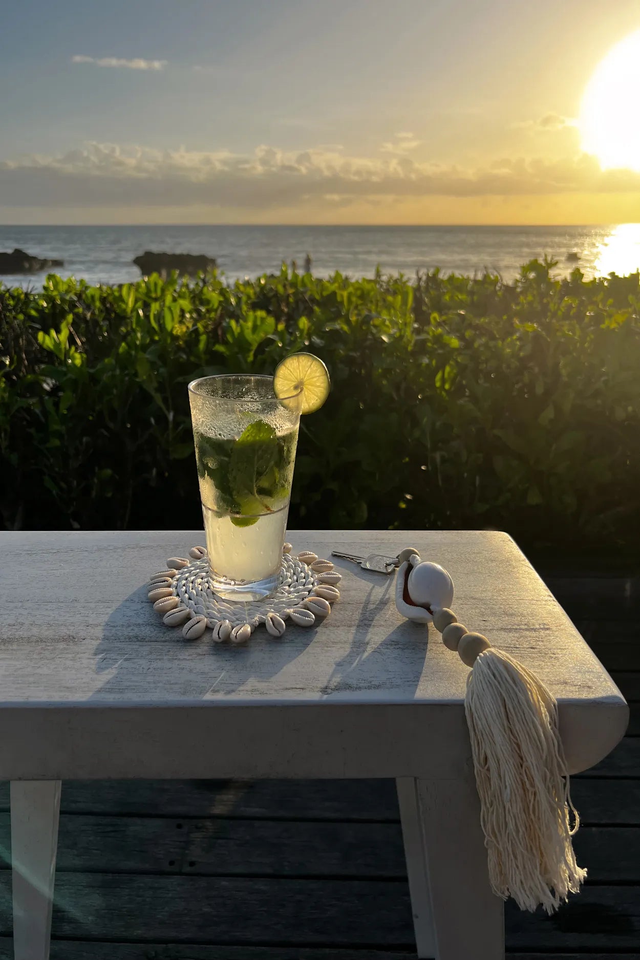 The Seagrass Shell Coaster - White 4 pieces