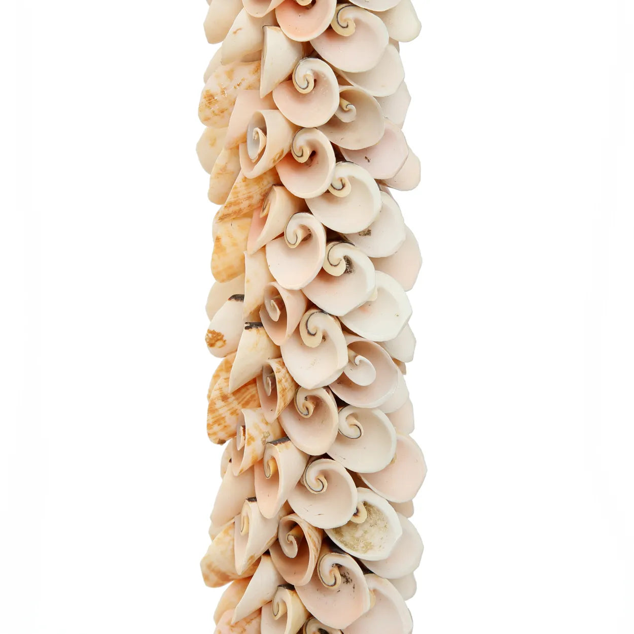 The Shell Cotton Brush - Pink 2 pcs