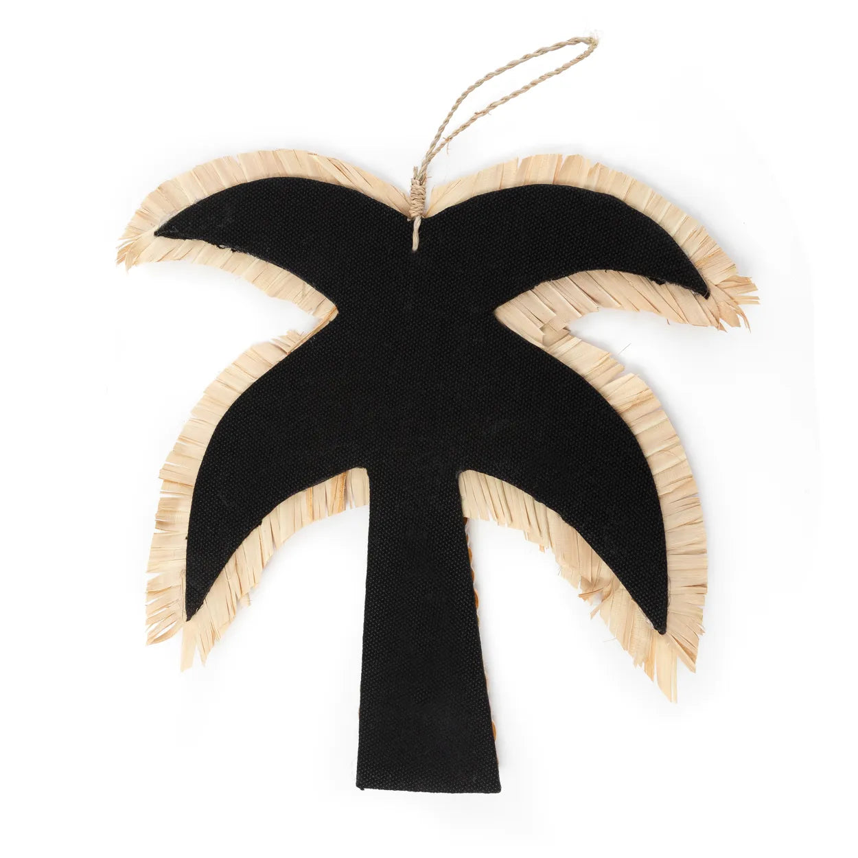The Banana Peel Palm Tree - Natural
