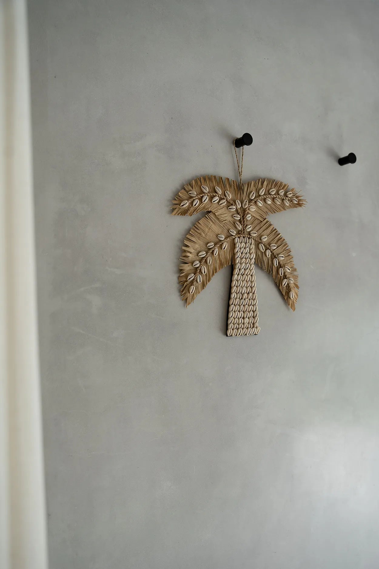 The Banana Peel Palm Tree - Natural