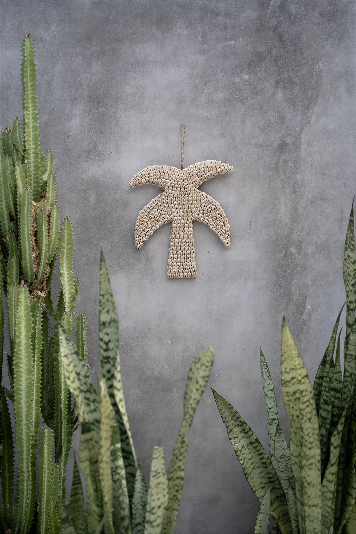 The shell palm tree - Natural