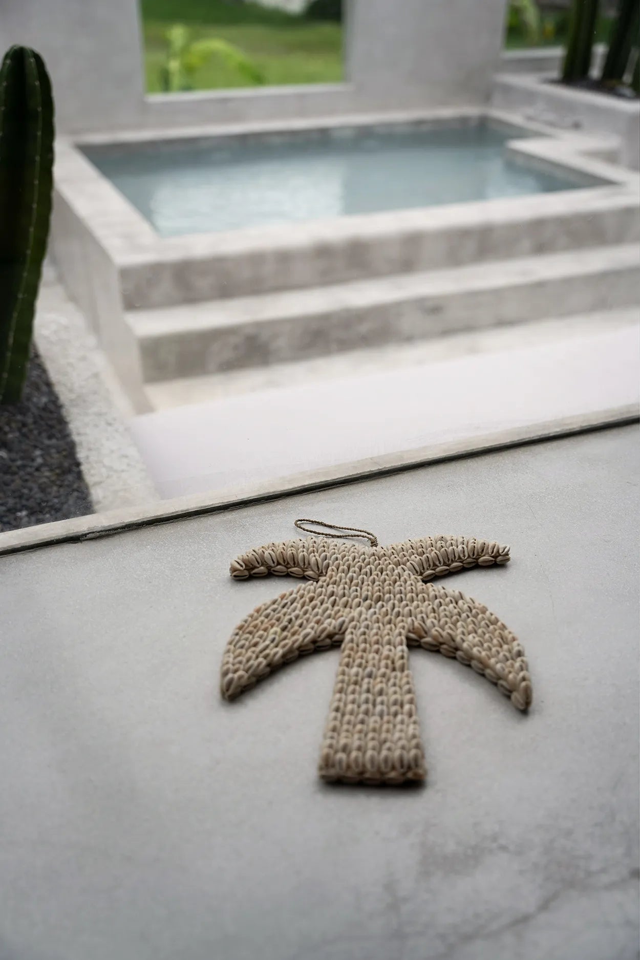 The shell palm tree - Natural