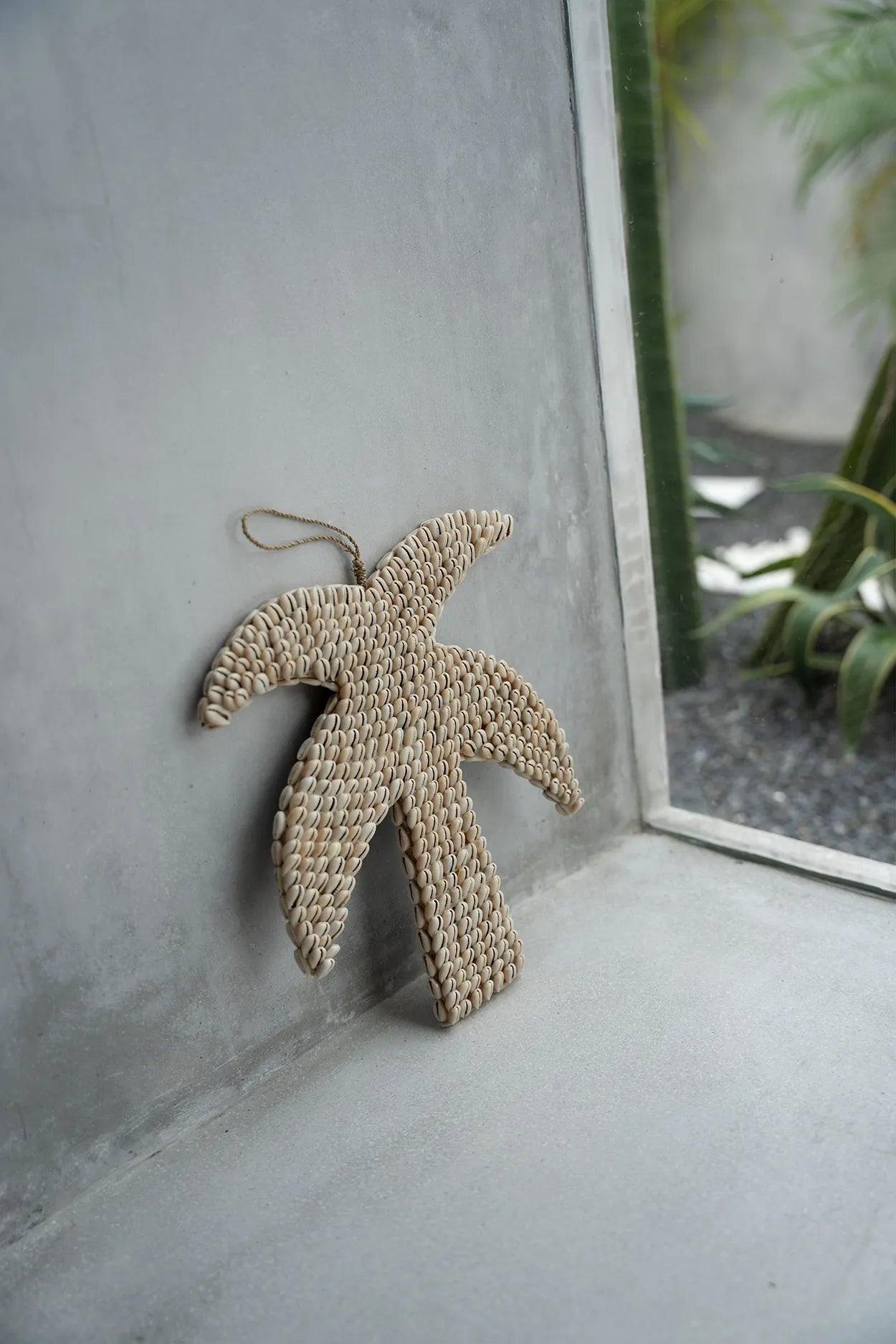 The shell palm tree - Natural