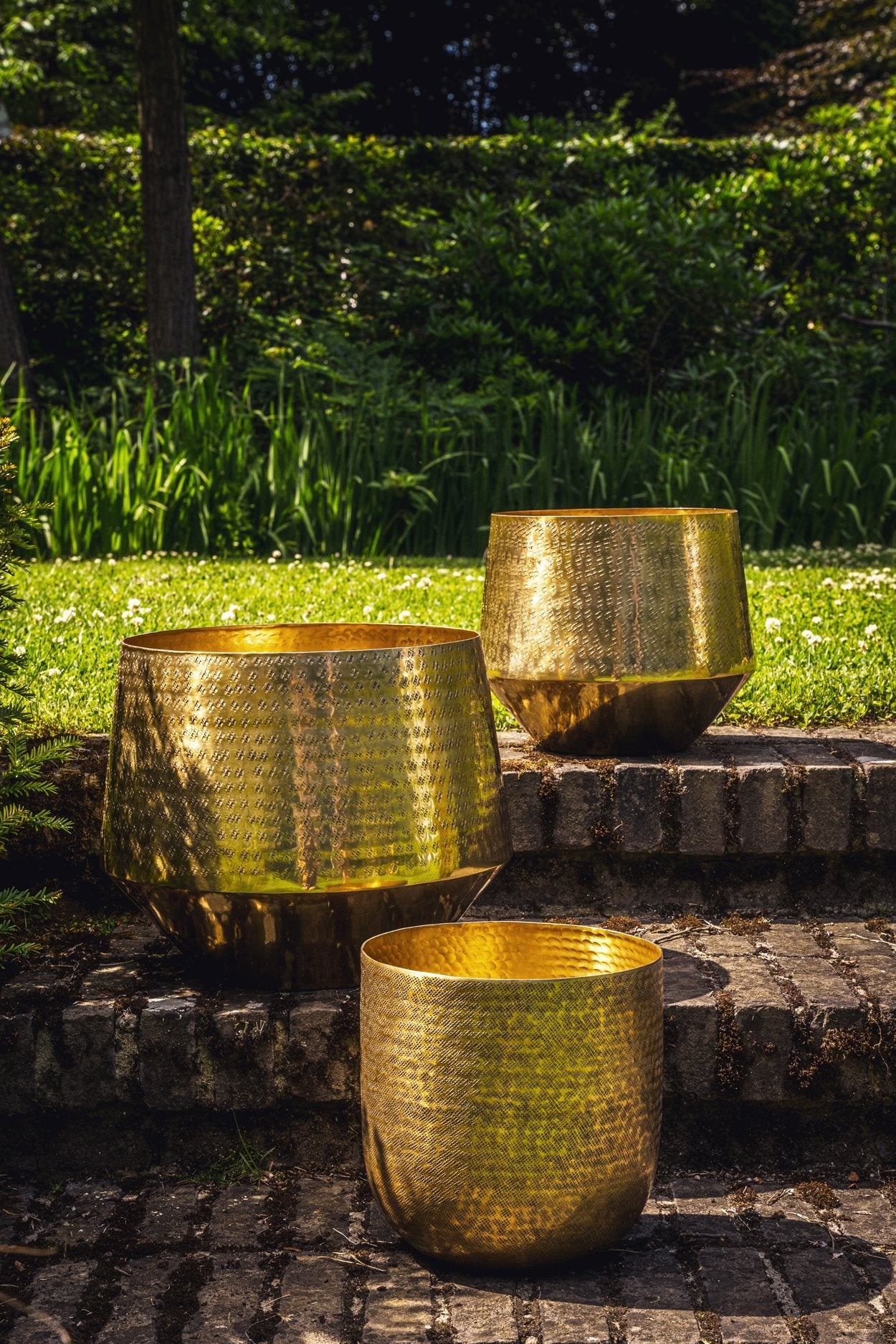 The hammered planter - Brass - XL