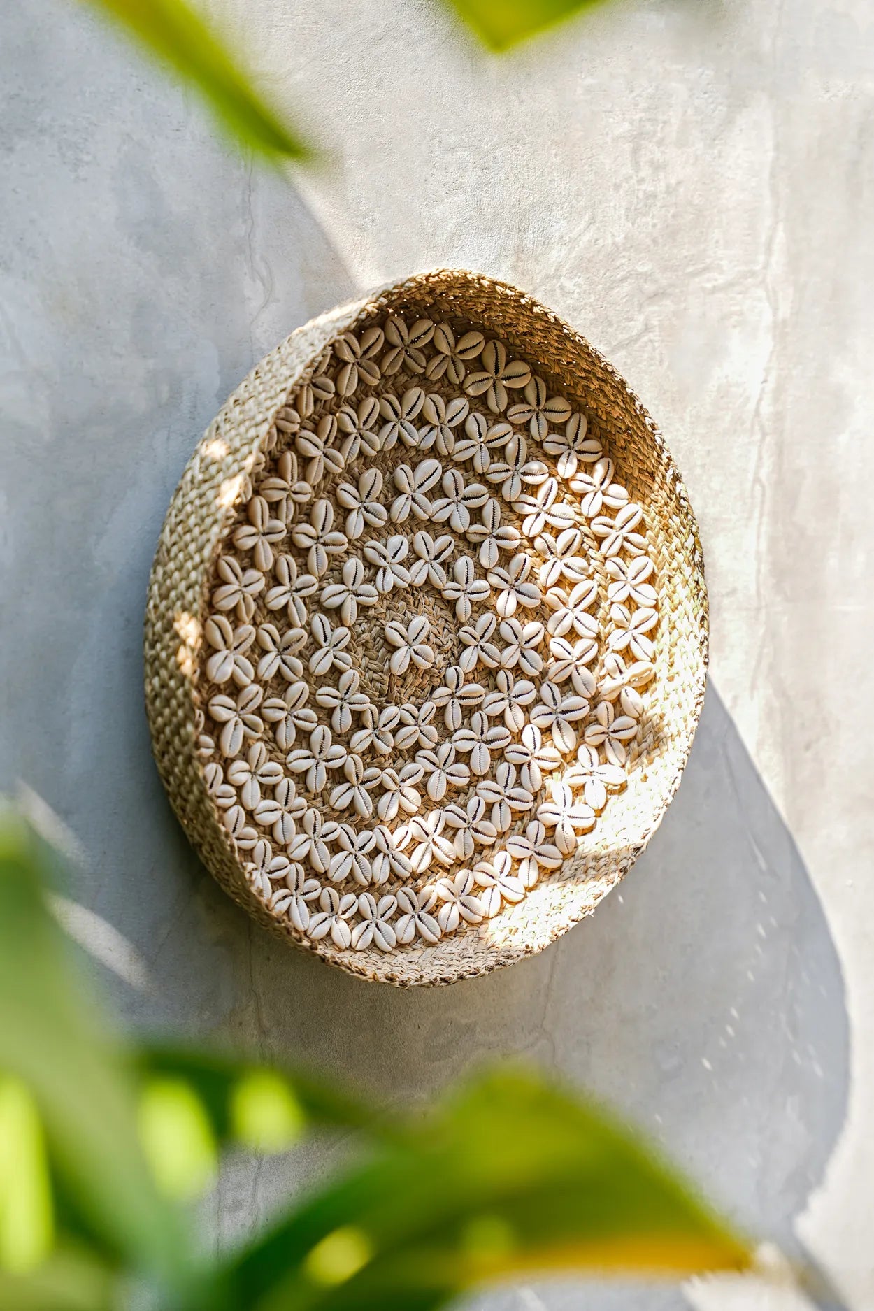 The Costa Shell Plate - Natural White - M_40