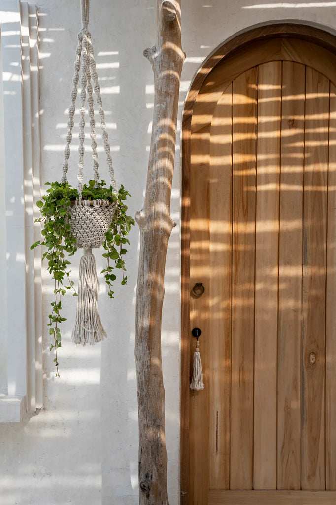 The Twisted Macramé Plant Hanger - Natural White - S