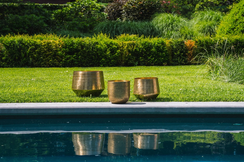 The hammered planter - Brass - XL