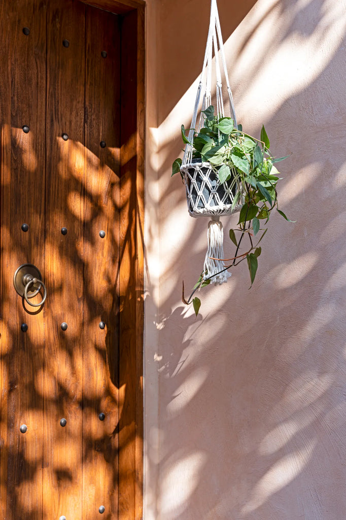 The Macramé Plant Hanger - White - M_40