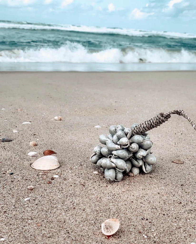 Le pinceau coquillage gris 2 pièces