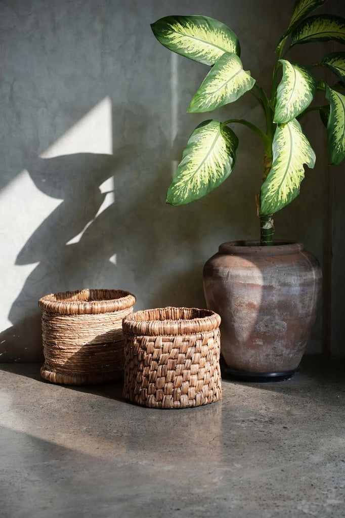 The Choppy Basket.