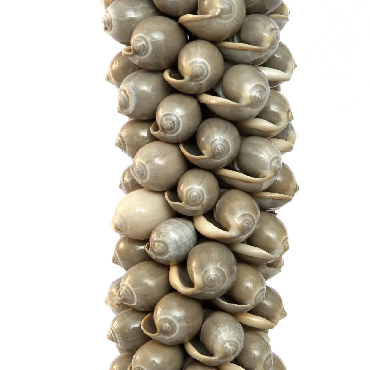 The Shell Cotton Brush - Gray per 2 pieces