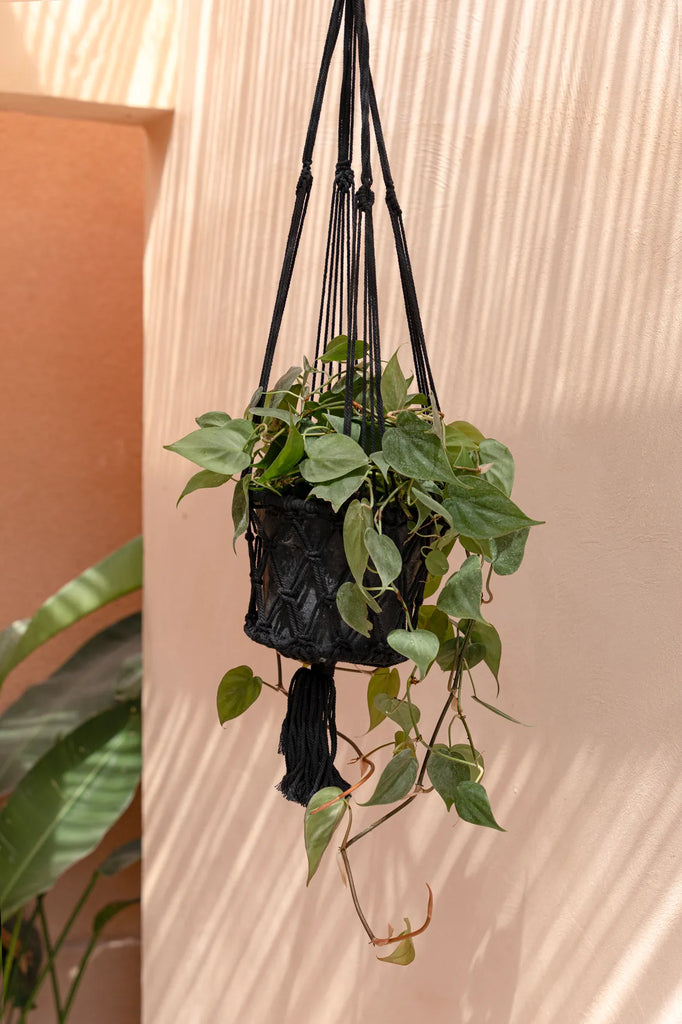 Suspension pour plantes en macramé - Noir - M_40