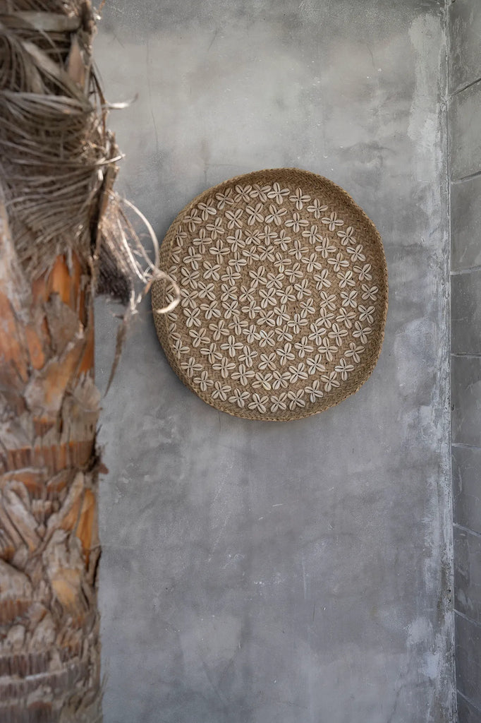 The Costa Shell Plate - Natural White - M_40