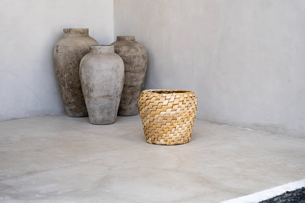 The Chidi Basket.