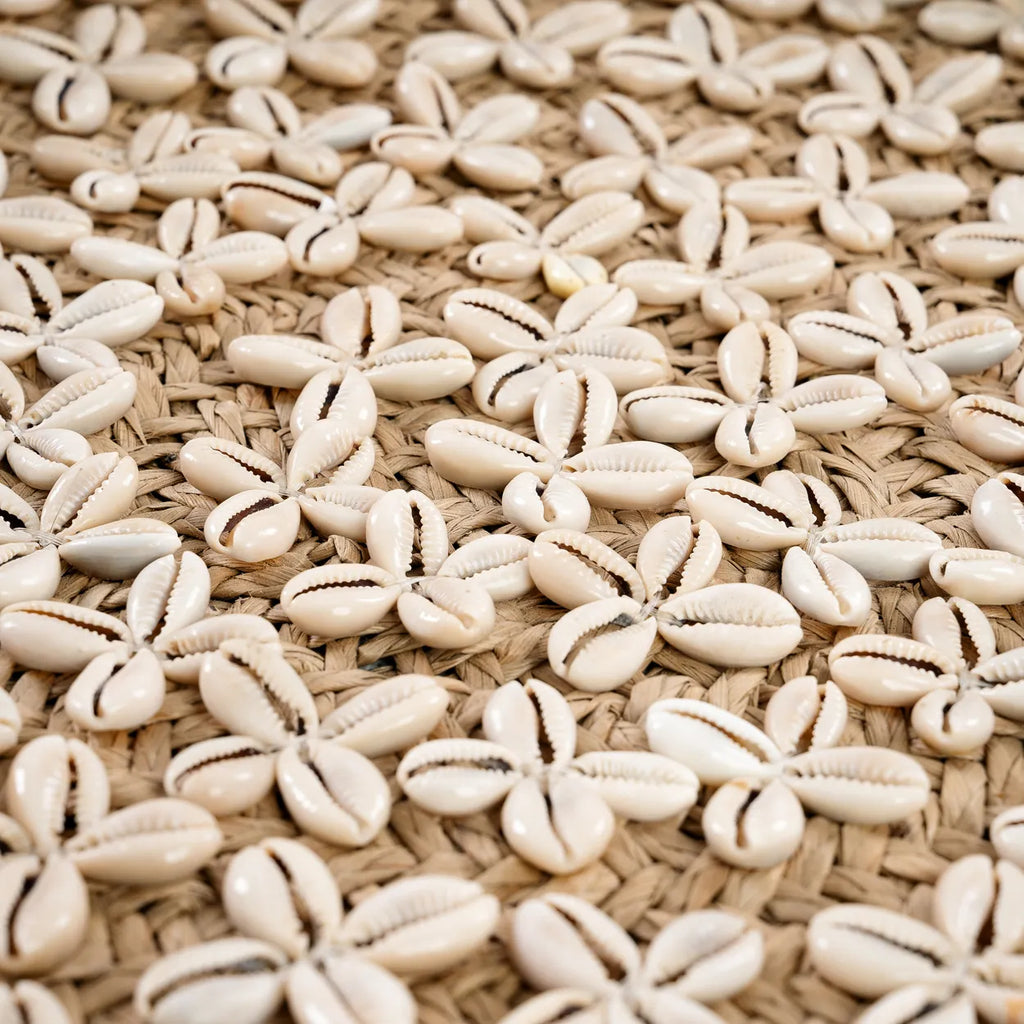 The Costa Shell Plate - Natural White - M_40
