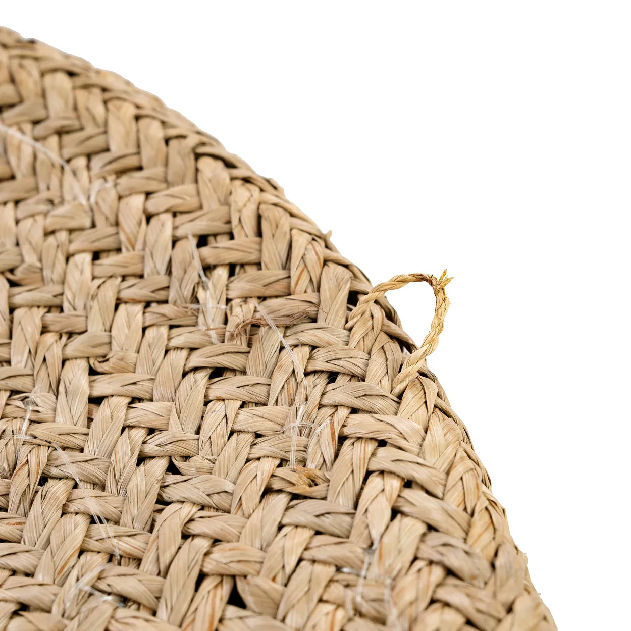The Costa Shell Plate - Natural White - M_40