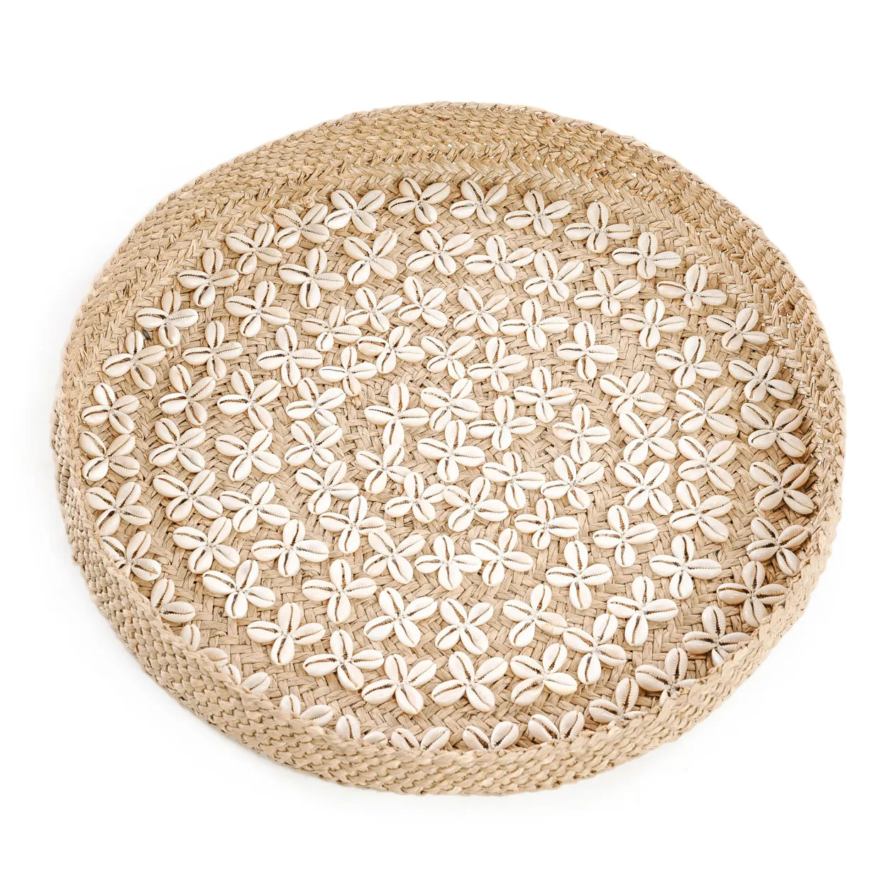 The Costa Shell Plate - Natural White - M_40