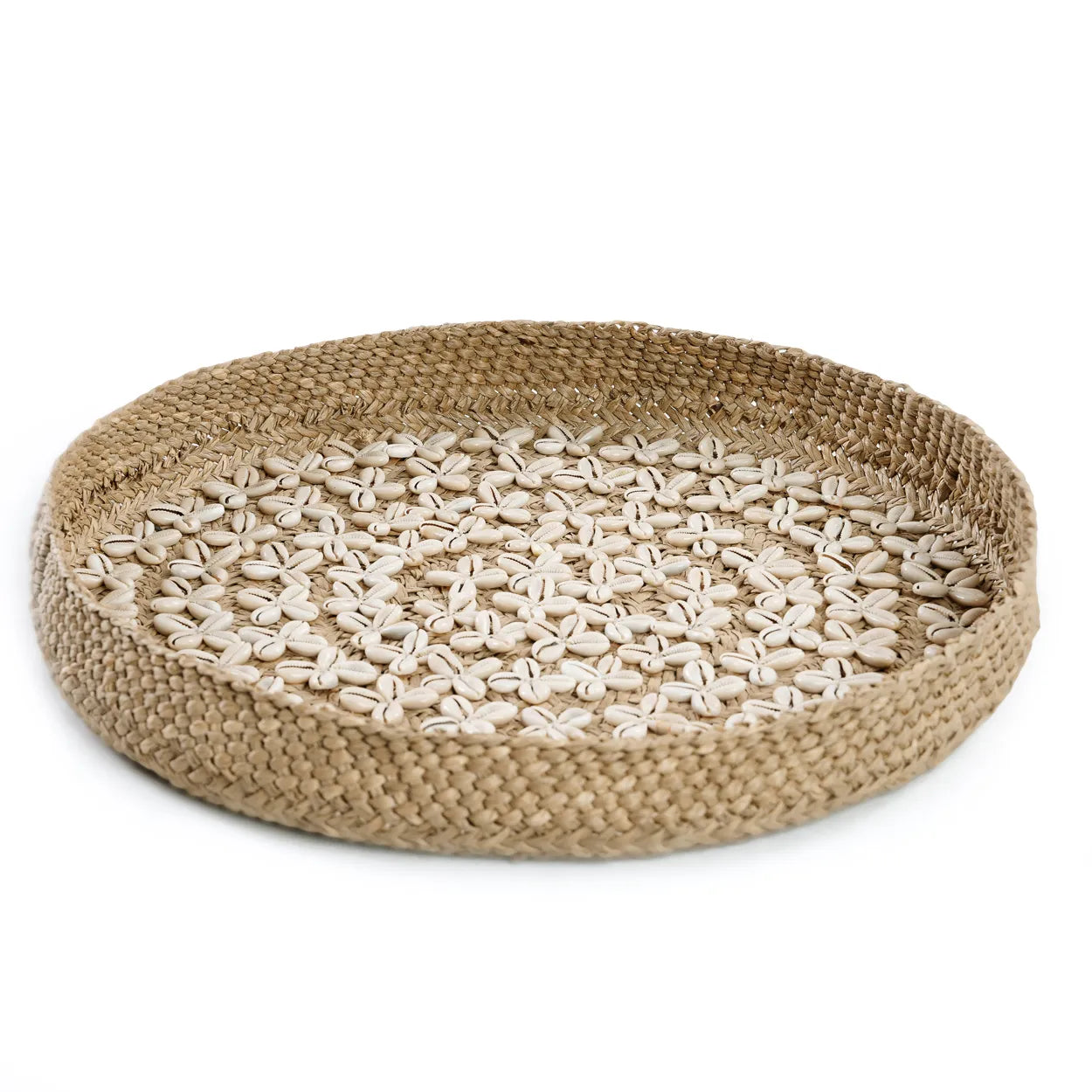 The Costa Shell Plate - Natural White - M_40