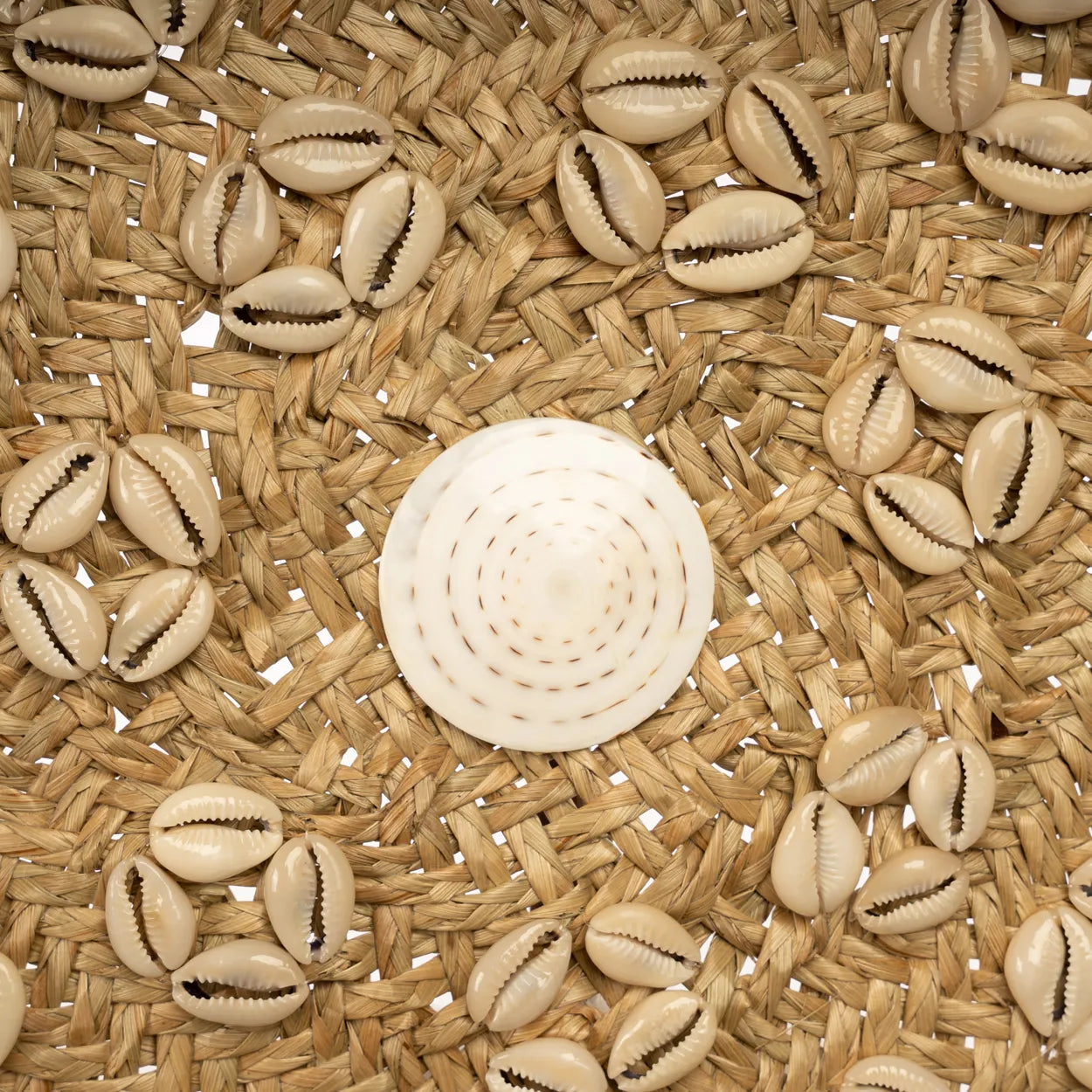 Assiette coquillage Caribe Blanc naturel M