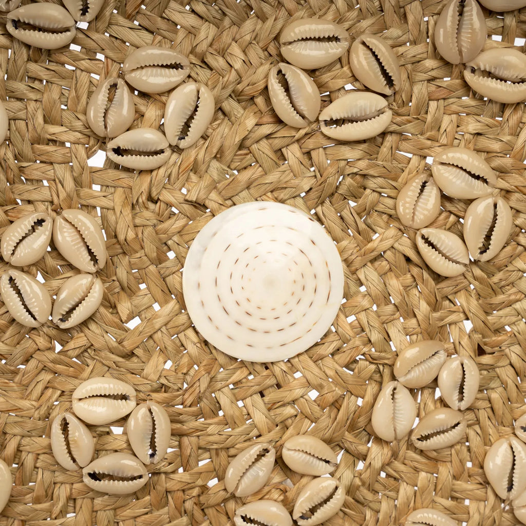Assiette coquillage Caribe Blanc naturel M
