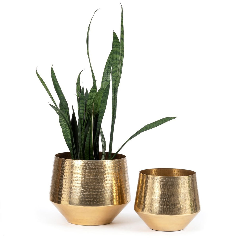The hammered planter - Brass - L