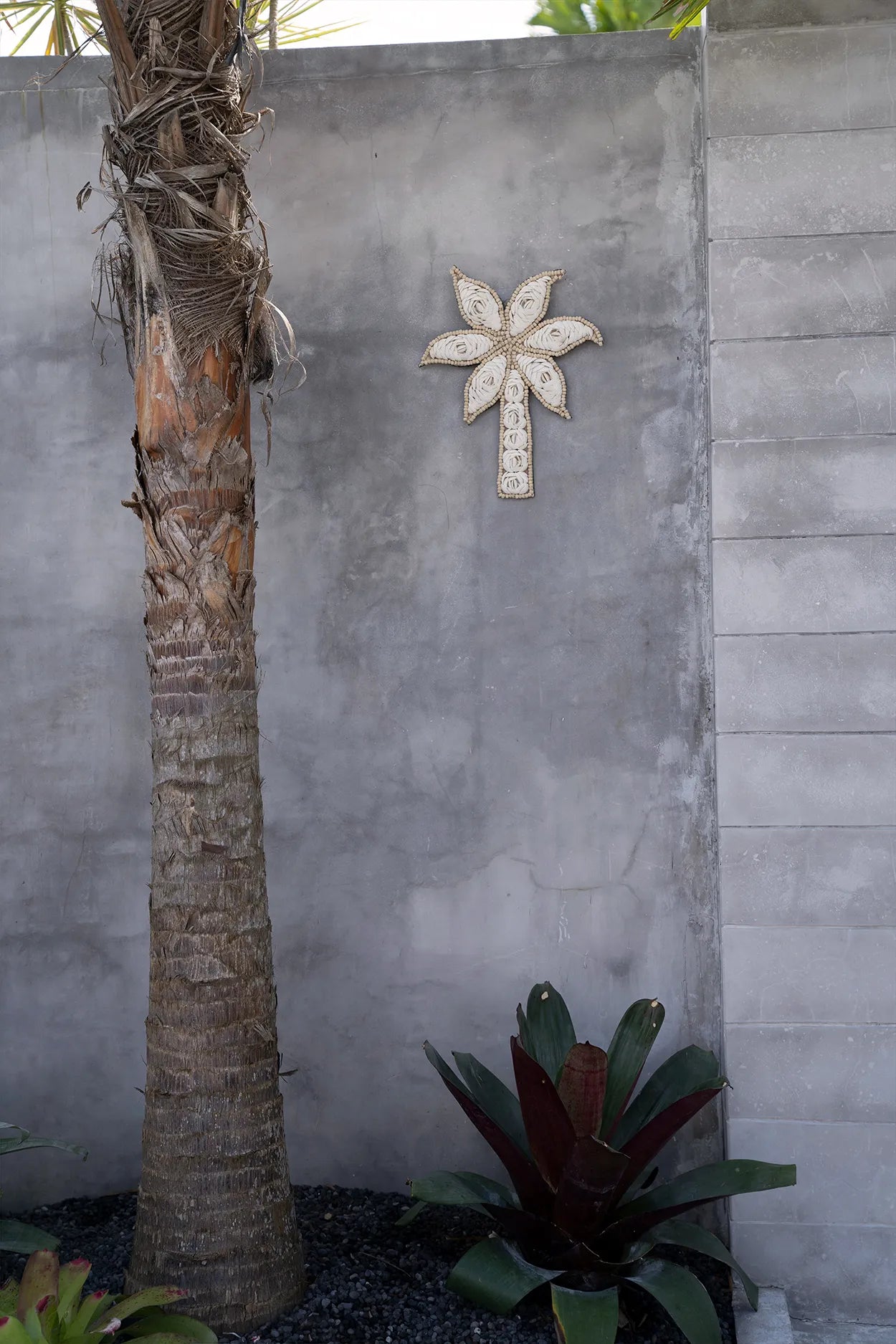 The shell palm tree - White