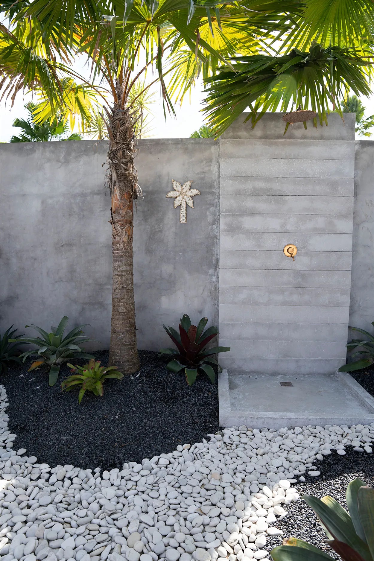 The shell palm tree - White