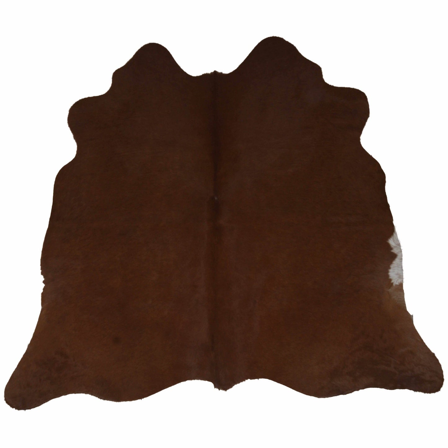 Uniek gefotografeerde Assorted Koeienhuid | nr. AS-013 | 2-3m