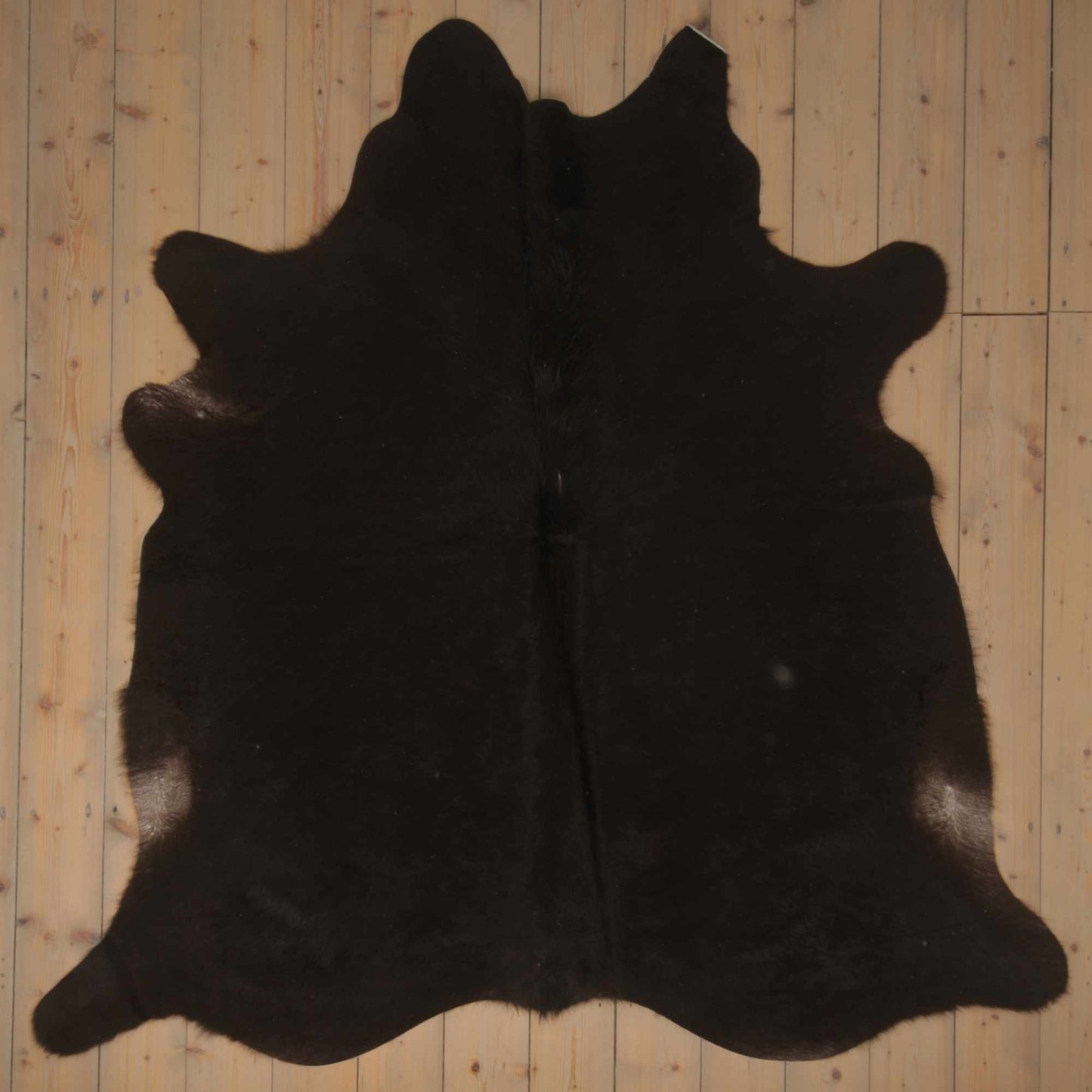Uniquely Photographed Assorted Cowhide | AS-064