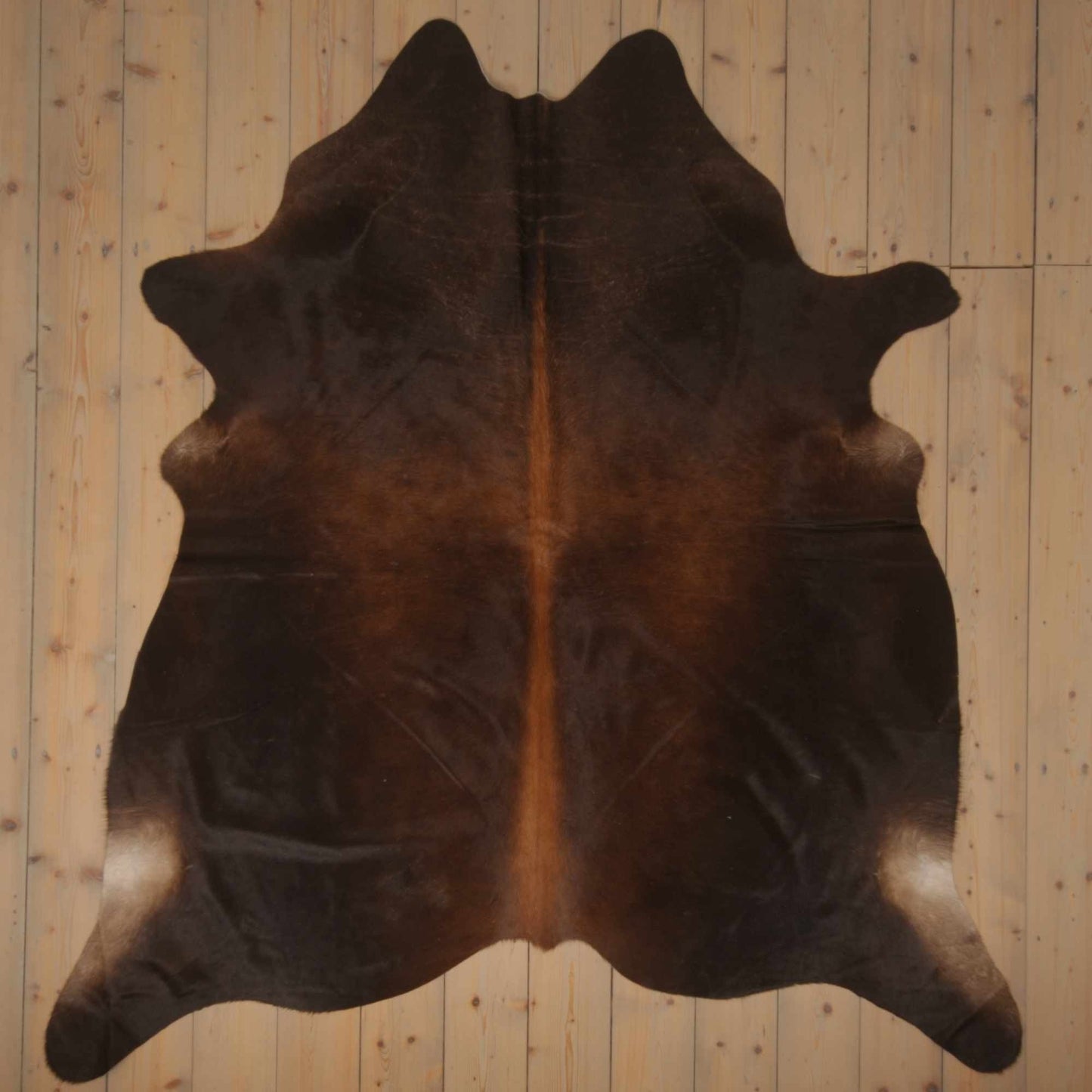 Uniquely Photographed Assorted Cowhide | AS-073