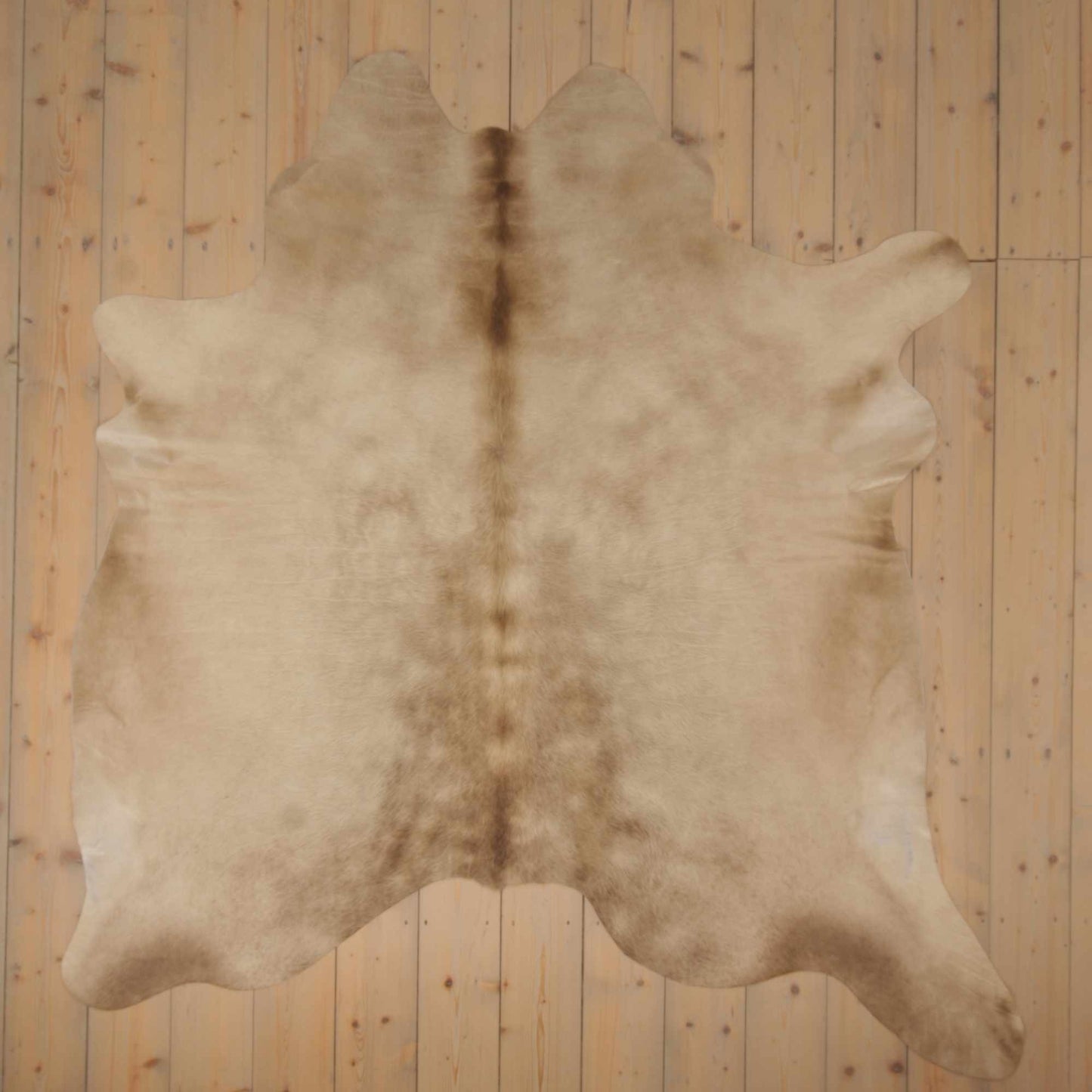 Uniquely Photographed Champagne Cowhide | CH-037