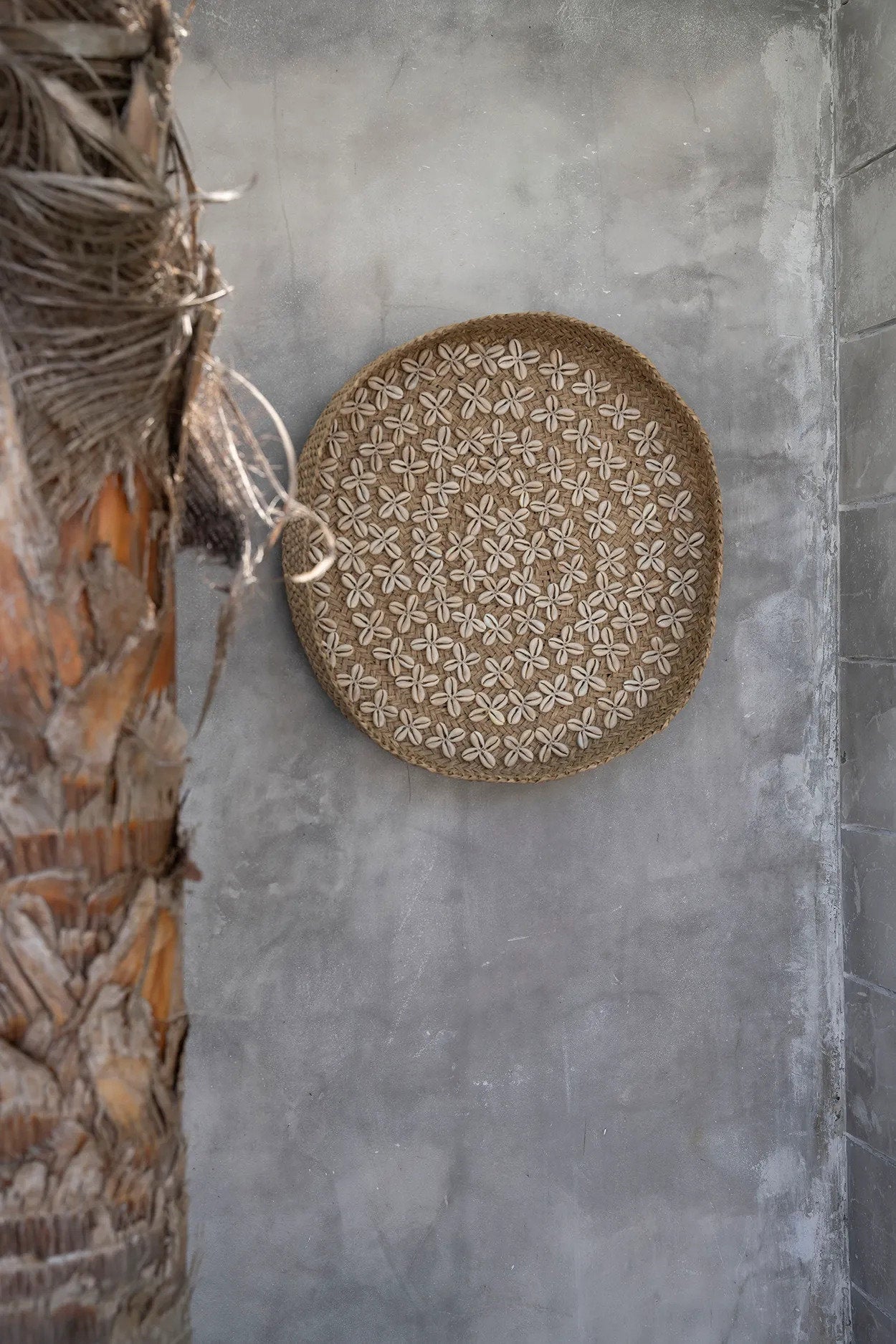 The Costa Shell Plate - Natural White - M_40