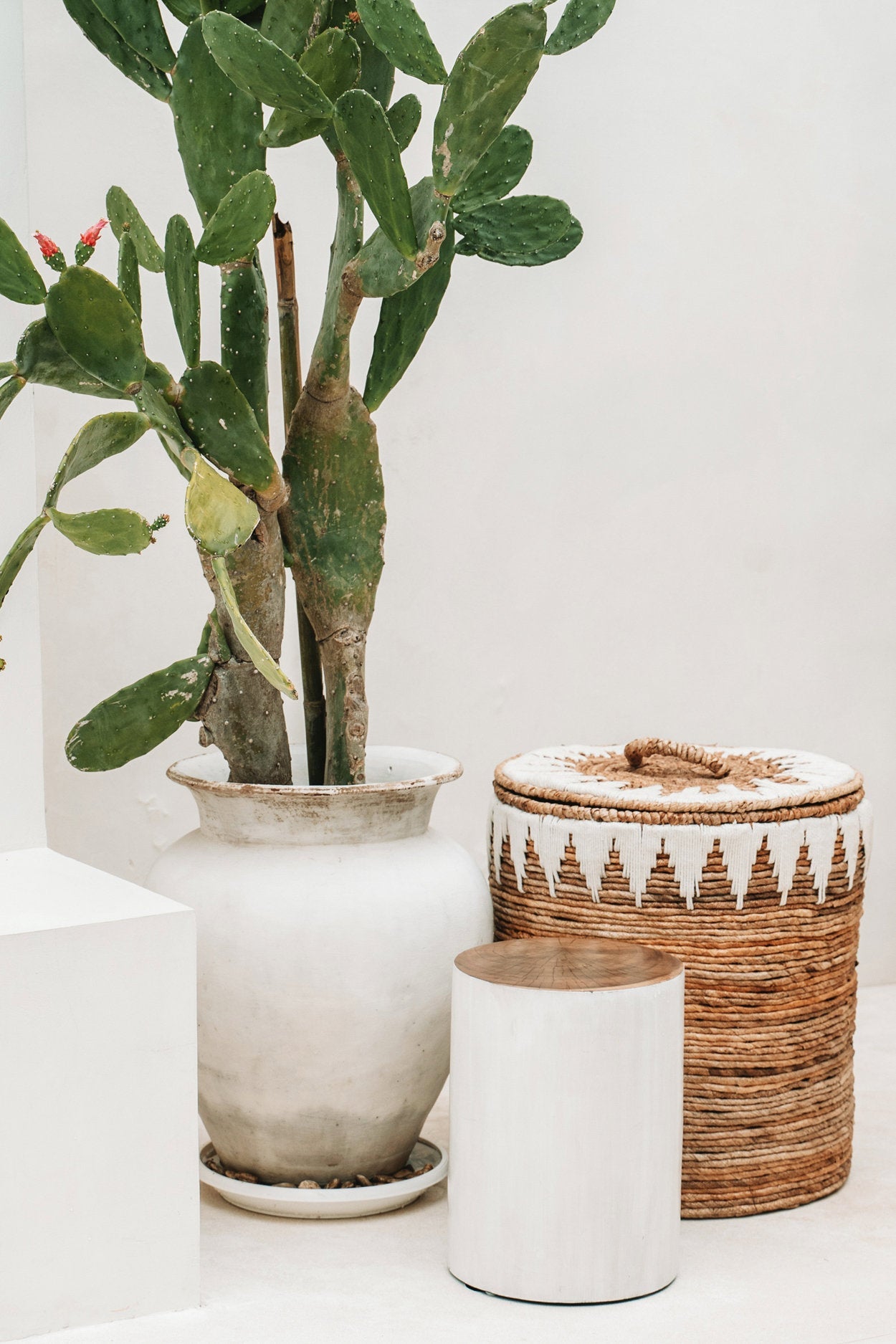 De Tribe Kruk - Natuurlijk Wit