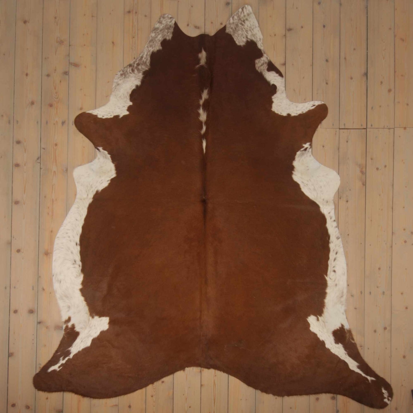 Uniek Gefotografeerde Roodbont Koeienhuid | RB-015