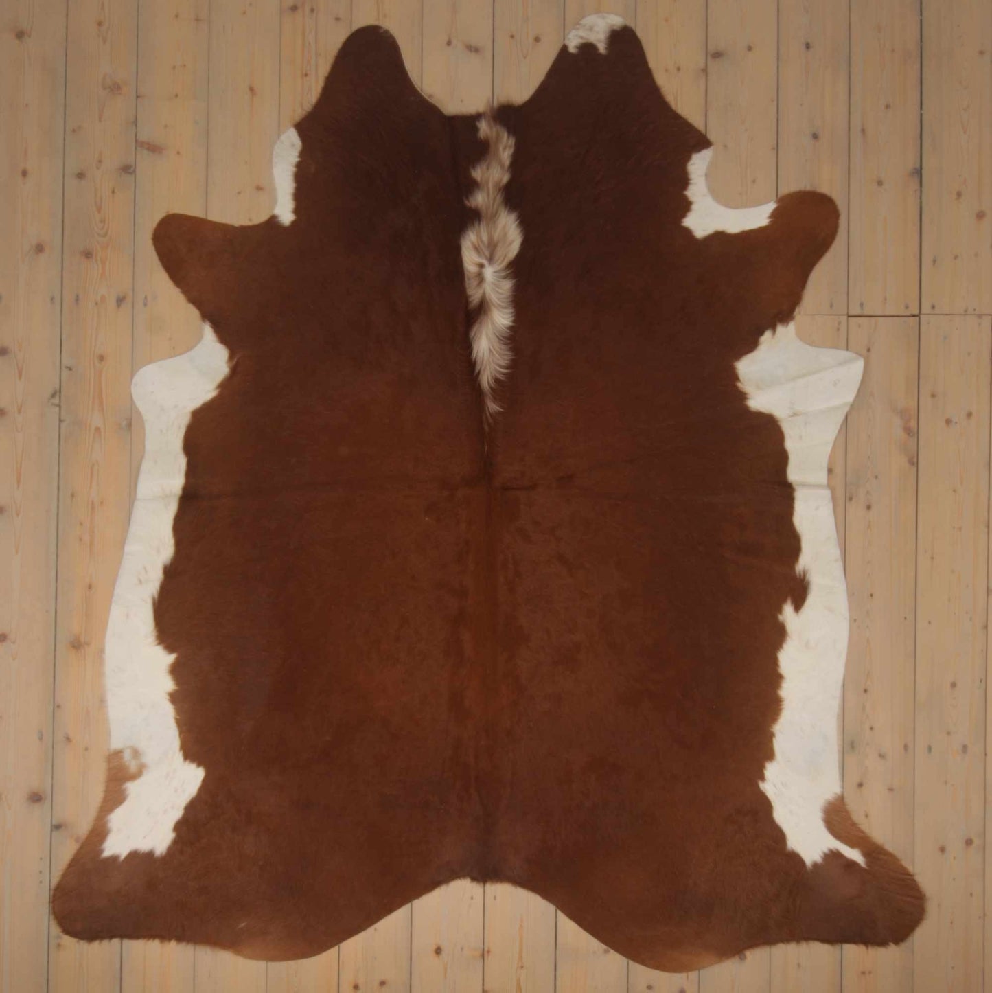 Uniek gefotografeerde roodbonte koeienhuid | RB-016