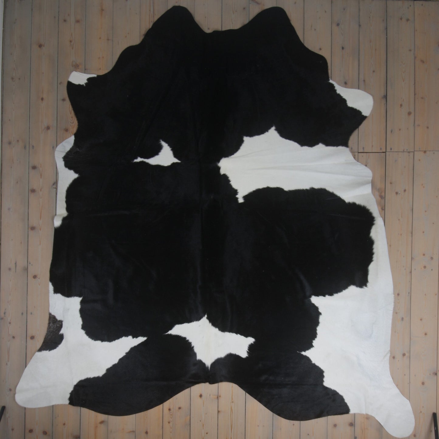 Uniquely Photographed Black-and-White Cowhide | No. WW-ZW006