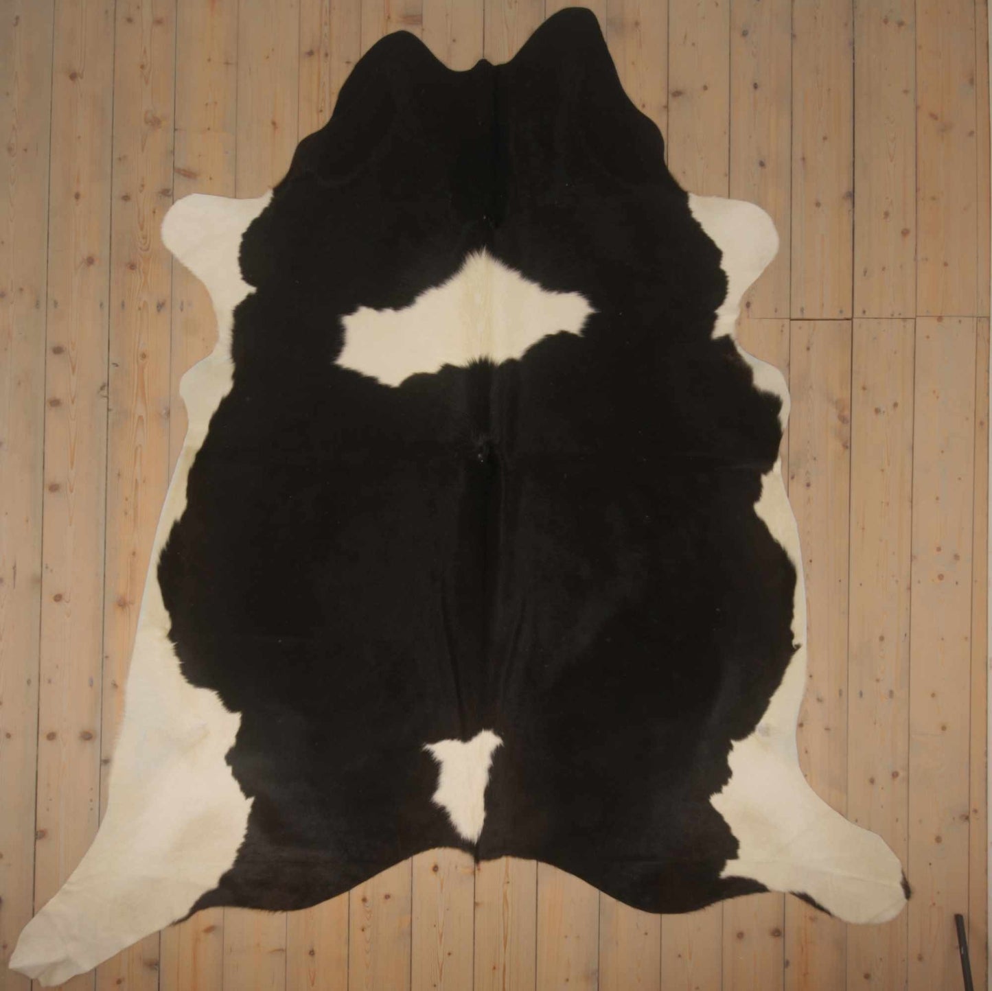 Uniek gefotografeerde zwartbont koeienhuid | ZW-026