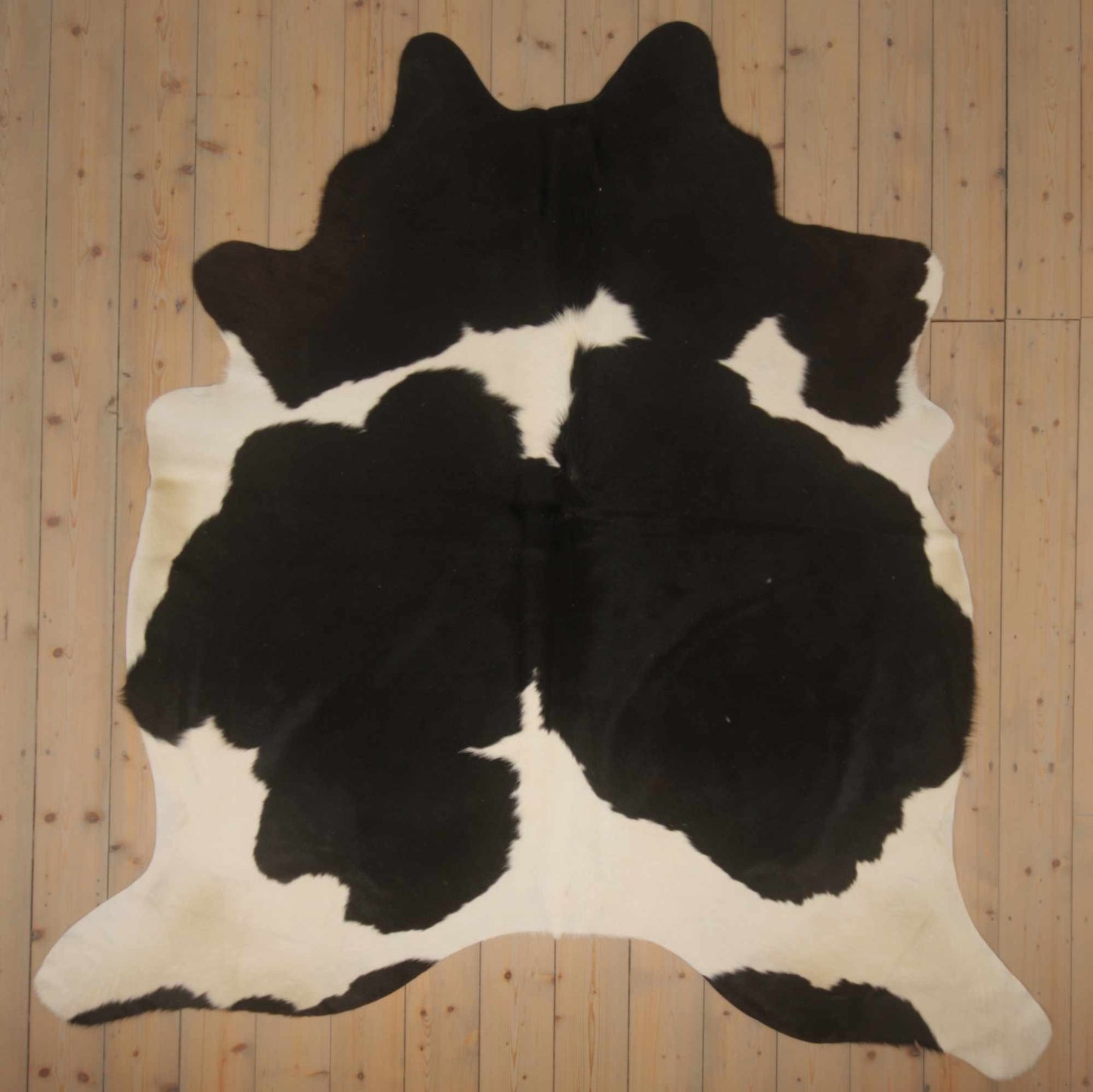 Uniek gefotografeerde zwartbont koeienhuid | ZW-027