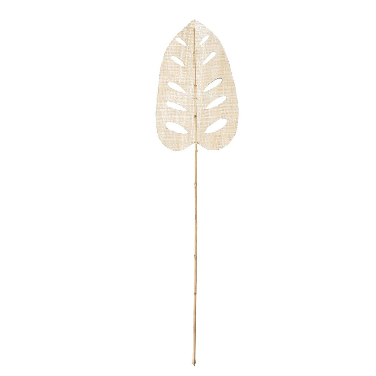 La feuille de jacinthe d'eau - Naturel