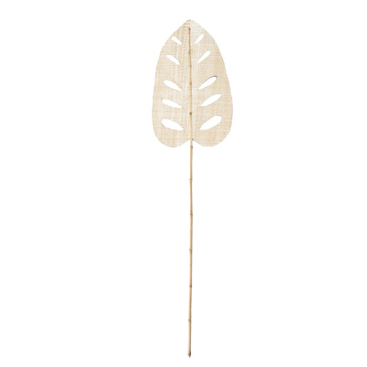 La feuille de jacinthe d'eau - Naturel